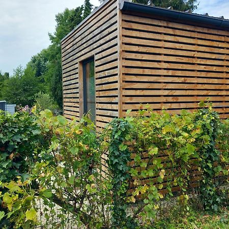 Lodge Au Vent Savigne-l'Eveque Екстер'єр фото